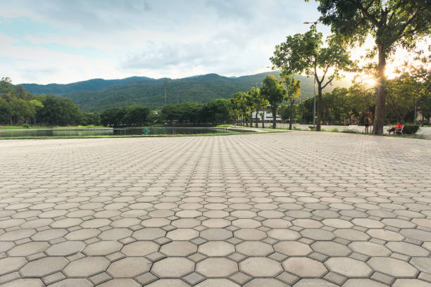Best Affordable Driveway Paving  in New Union, TN